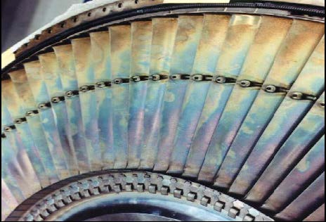 1675475456569331.jpg 6.jpg