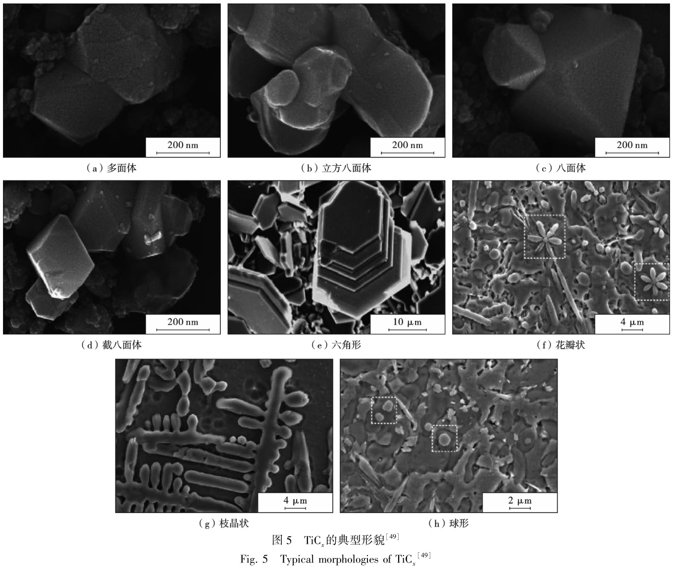 1695645774435714.jpg t5.jpg