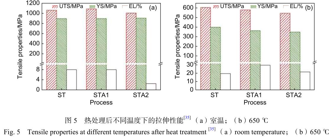 1699617384306102.jpg t5.jpg
