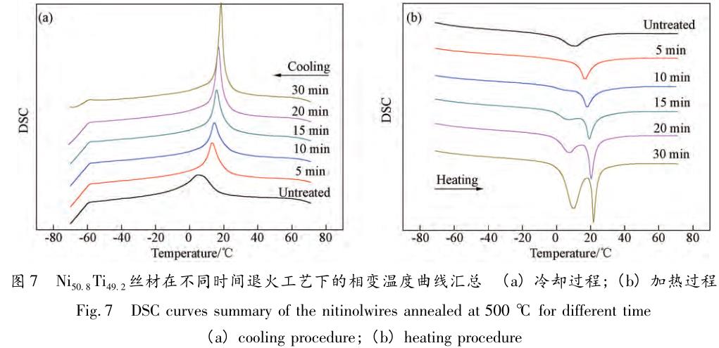 1706136156605344.jpg t7.jpg