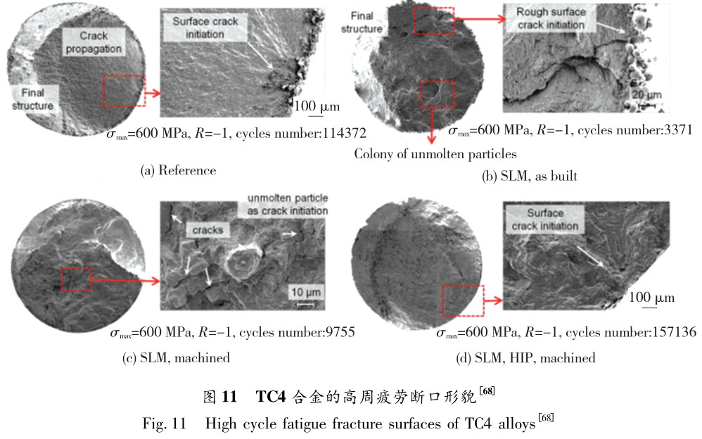 1721614780595077.jpg t11.jpg