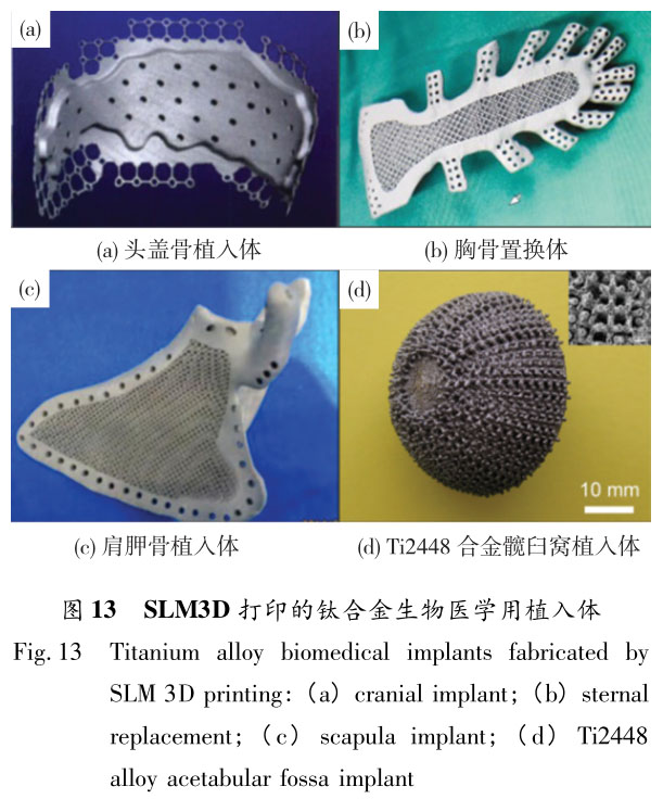 1721614805386310.jpg t13.jpg