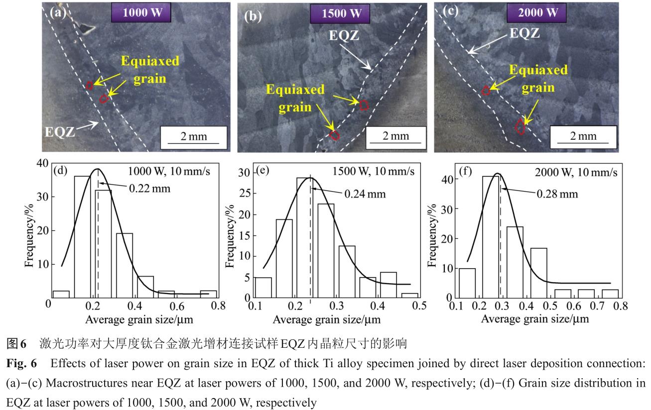 1725354935697935.jpg t6.jpg