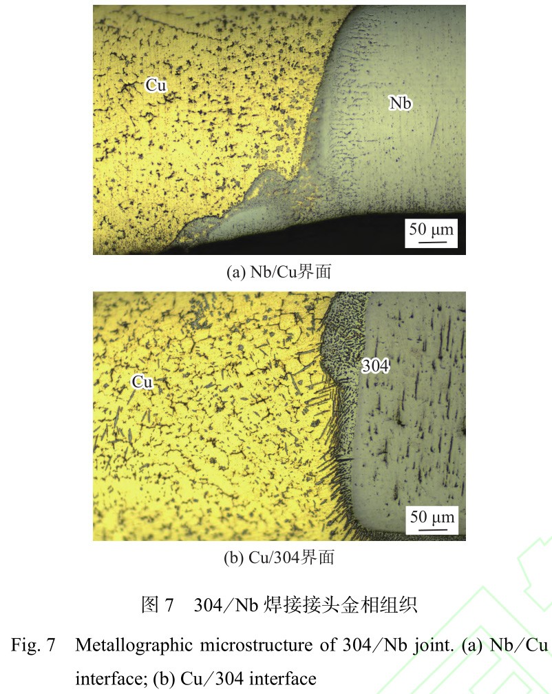 1735030042103029.jpg 7.jpg