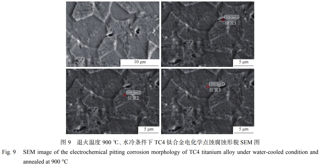1763905564555020.jpg 未標題-4.jpg
